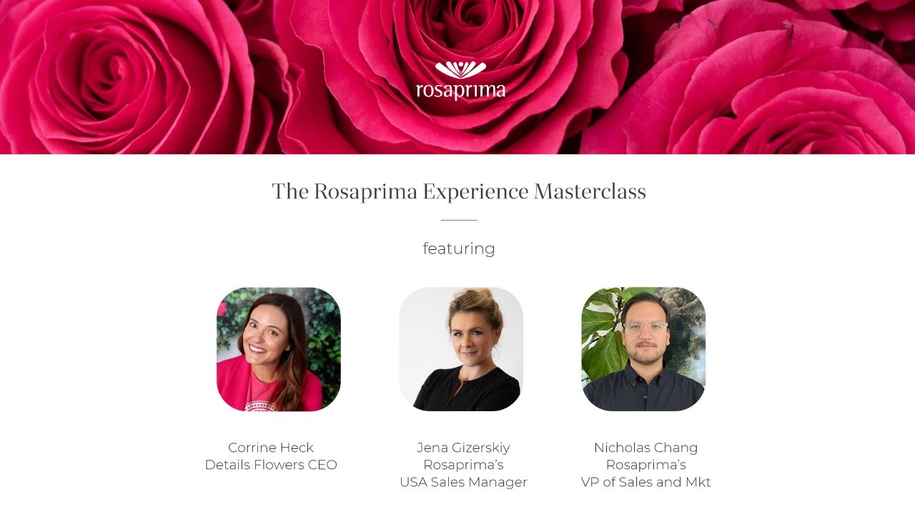 The Rosaprima Experience ft Details Flowers