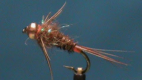 Beginner Fly Tying a Polish Pheasant Tail with Jim Misiura
