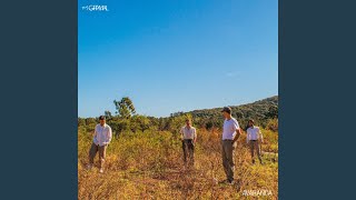 Amor de Margarina - Gramal