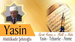 Abdulkadir Şehitoğlu 🌹 Yasin - Tebareke - Amme   💖  Surah Yaseen Mulk Naba screenshot 3