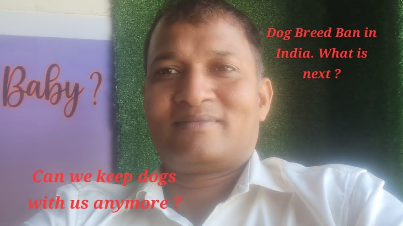 dog-breed-ban-in-india-can-we-keep-them-anymore-youtube