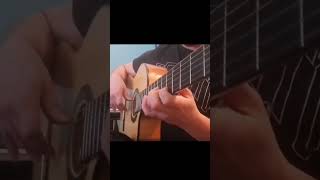 Aldırma Deli Gönlüm Gitar Solosu Sertap Erener Cover
