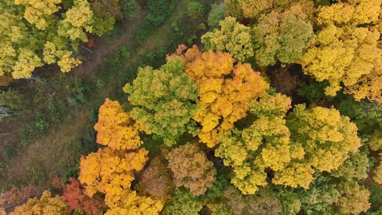 Autumn’s Glory, Pleasants County, WV (Fall 2022) YouTube
