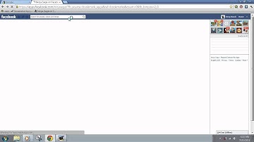 How to load Ninja Saga with Google Chrome