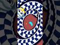 worms zone io wormszone shortsviral shortsfeed Part 