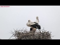 20190407 Язовир Студен кладенец 4K