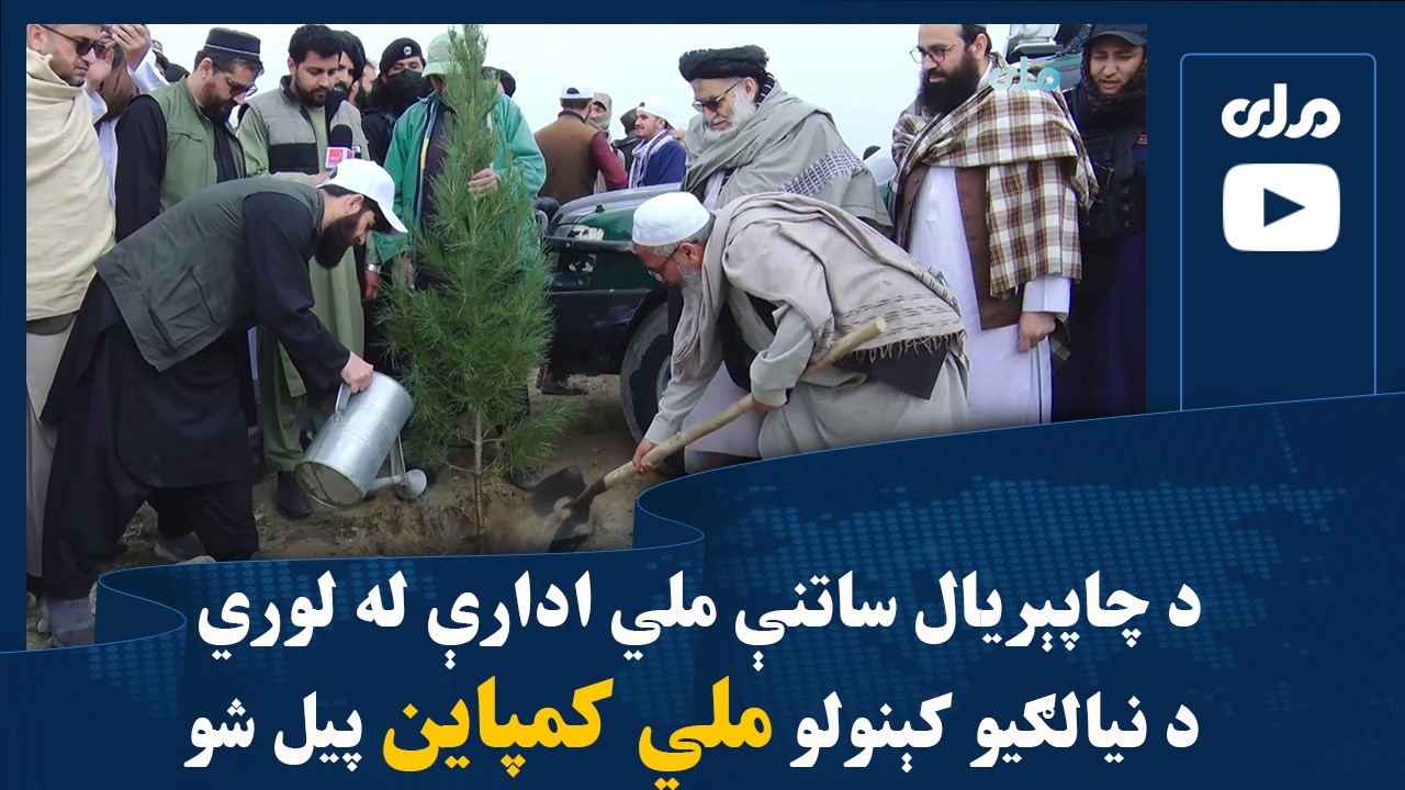 د چاپېریال ساتنې ملي ادارې له لوري د نیالګیو کېنولو ملي کمپاین پیل شو