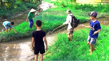 Kích Cá Dính Toàn Hàng Khủng Cá Phi Nên Bờ Như Mưa