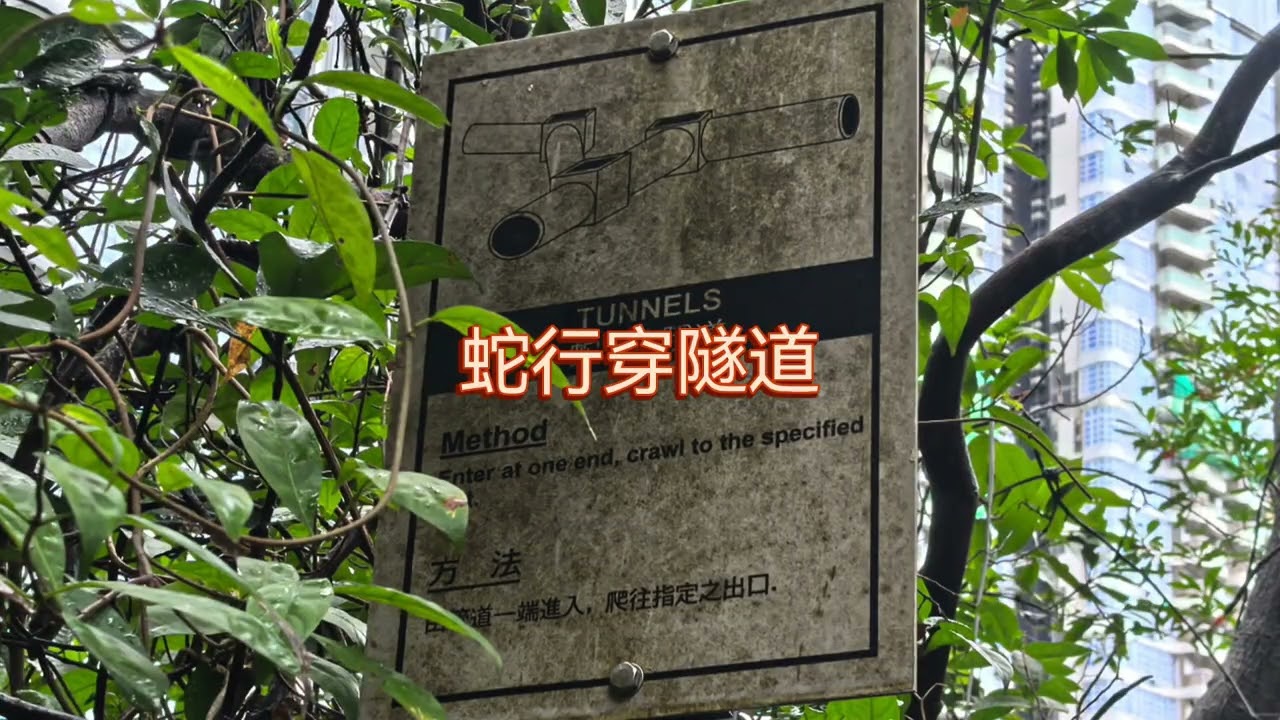 毛絲細雨荒園玩樂攀爬南朗頂遇強風