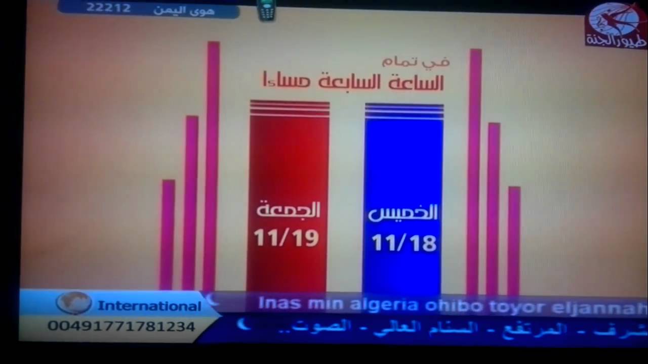 طيور الجنة في أبوظبي - ( توتة البنوتة + بنفسجية )