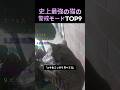 史上最強の猫の警戒モードTOP9