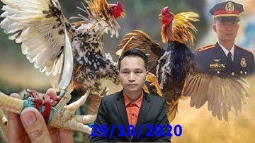 XOV XWM 29/10/2020 qaib ncaw tub ceev xwm tuag