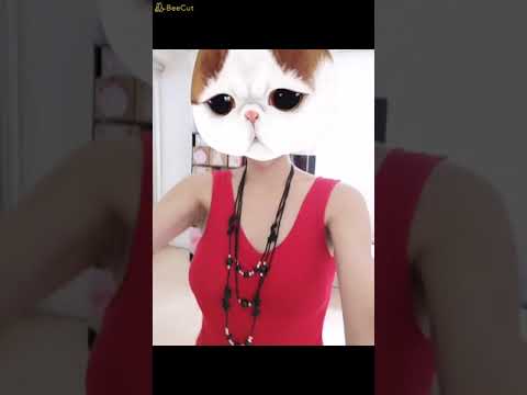 唱歌129 當你孤單你會想起誰