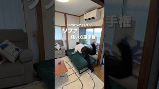 贅沢にくつろぐ!LOWYAの3人掛けソファベッド #shorts
