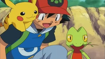 Ash Catch Treecko