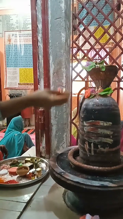 Jai Ho Shankara lord shiva  Lord shiva hindu #jaishivshankar