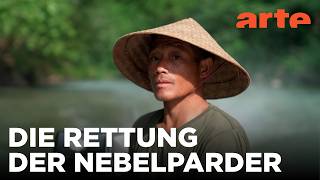 Laos: Versteckte Orte im Dschungel | Nationalparks der Zukunft