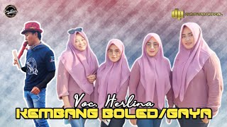 KEMBANG BOLED/GAYA - VOC. HERLINA | DUA PUTRA | SHOW KEDUNGWUNGU_WANGUK
