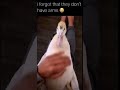 Tickle Tickle!!