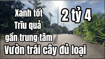 Chú Hoàng bán khu vườn trái cây đủ loại xanh tốt gần trung tâm xã chợ ở TP HCM