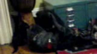 Elli, Mali, And Maxi.3Gp