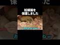 保護から4日目の妊婦猫さん