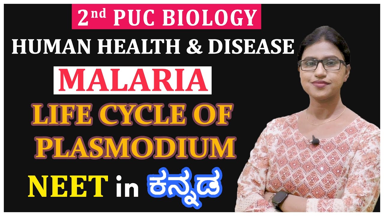 Human Health and Disease Class 12 in Kannada | Malaria | Life Cycle of Plasmodium