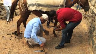 Gürge Köyünde Nalbant Mehmet Ali Kubat Mesleğini Icra Ediyor