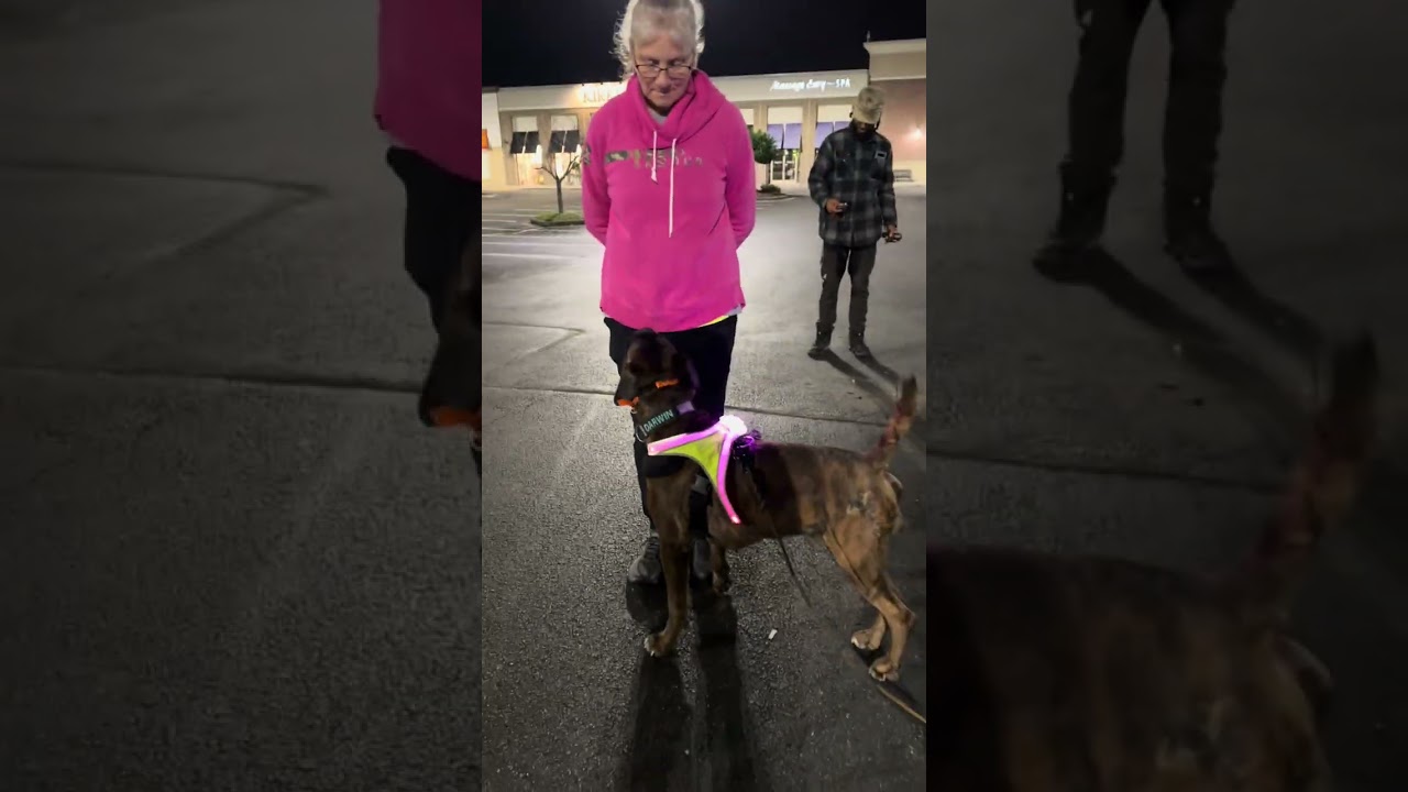 Urban, Night Trailing Training 