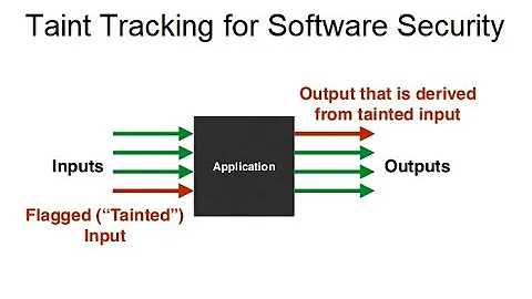 Dynamic Taint Tracing for Program Vulnerability Detection