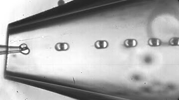 Double emulsions as dimers