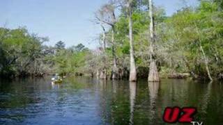 Suwannee River - Joe Occhipinti