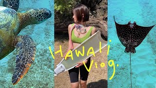 먹고 수영만 하는 거북이 오타쿠의 하와이 브이로그 🐢🍍🌈 hawaii vlog
