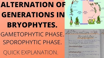 ALTERNATION OF GENERATIONS IN BRYOPHYTES|Complete explanation with notes and diagrams|#botany #bsc