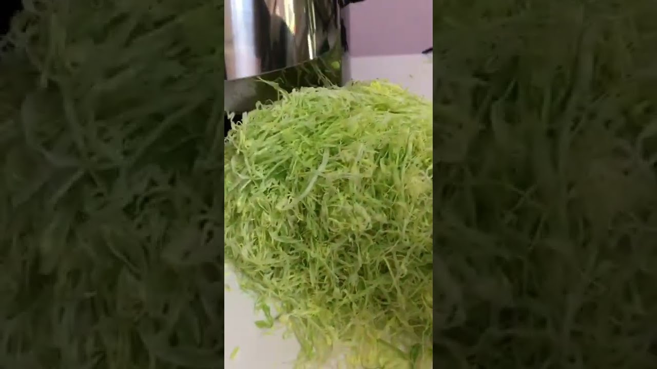 DREMAX DX150 Electric Cabbage Shredder YouTube