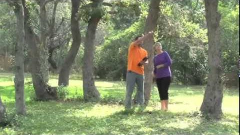 Good Guys Austin Tree Service