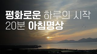 평화로운 아침을 여는 20분 요가니드라 | 요가소년 384