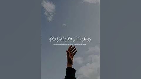 آيات من سورة النحل بصوت القارئ عبدالرحمن مسعد - راحة نفسية ❤️😴