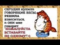 НАКОНЕЦ-ТО, поняла ПОЧЕМУ толстею... ЗАБАВНЫЙ женский юмор.