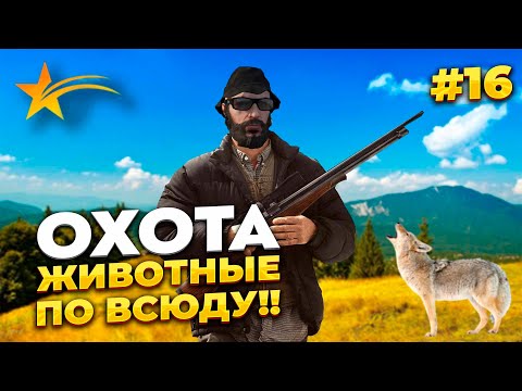 НОВИЧОК НА GTA 5 RP С НУЛЯ, 25К ЗА 15 МИН НА ОХОТЕ, ОТМАТАЛ СРОК В КПЗ, PROMO - taxi