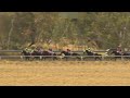 View race 1 video for 2026-06-14