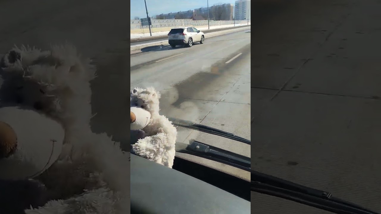 Поездка с Юрой на автобусе мАз 203 респектную №41 АМ 1476-6 часть 1 @Всемирный_транспорт