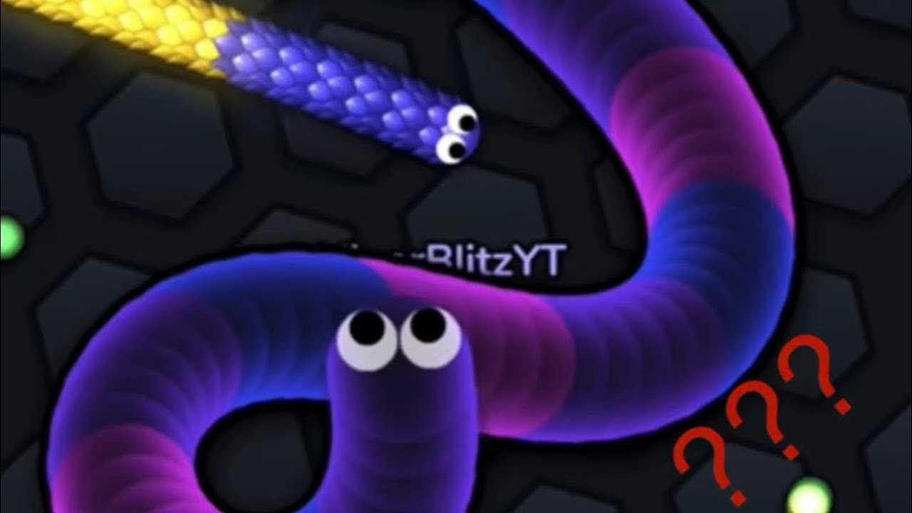 Viper Snake Battles Regular Snakes 🔥Intense!!🔥 