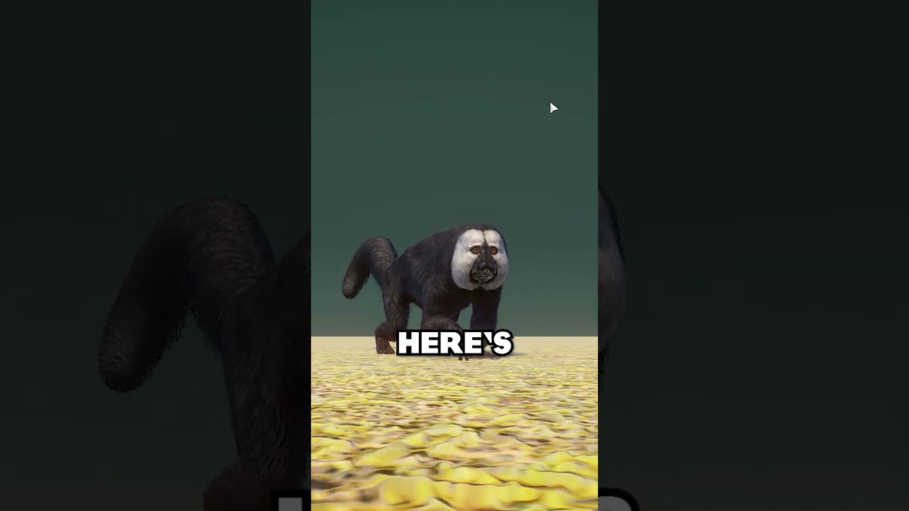 🌵 ОБЗОР Американской группы животных! | 