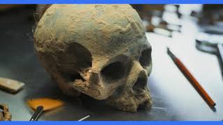How Long Have Modern Humans Existed on Earth? Tracing Our Origins
