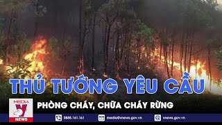 Thủ tướng yêu cầu phòng cháy, chữa cháy rừng - VNews