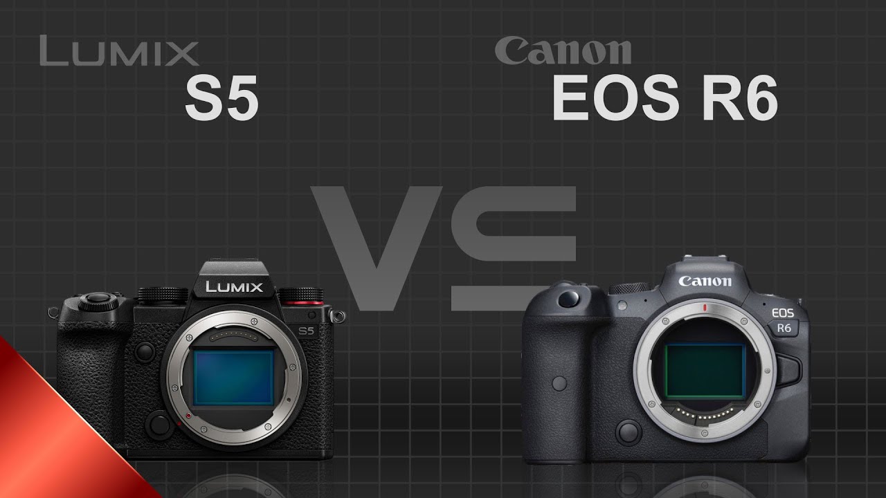 Panasonic Lumix S5 vs Canon EOS R6 YouTube