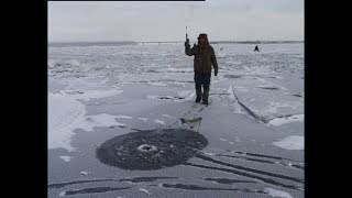 зимняя ловля судака на мормышку с подсадкой малька