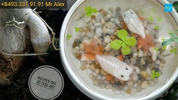 Wow! Amazing! 3D fish art like real