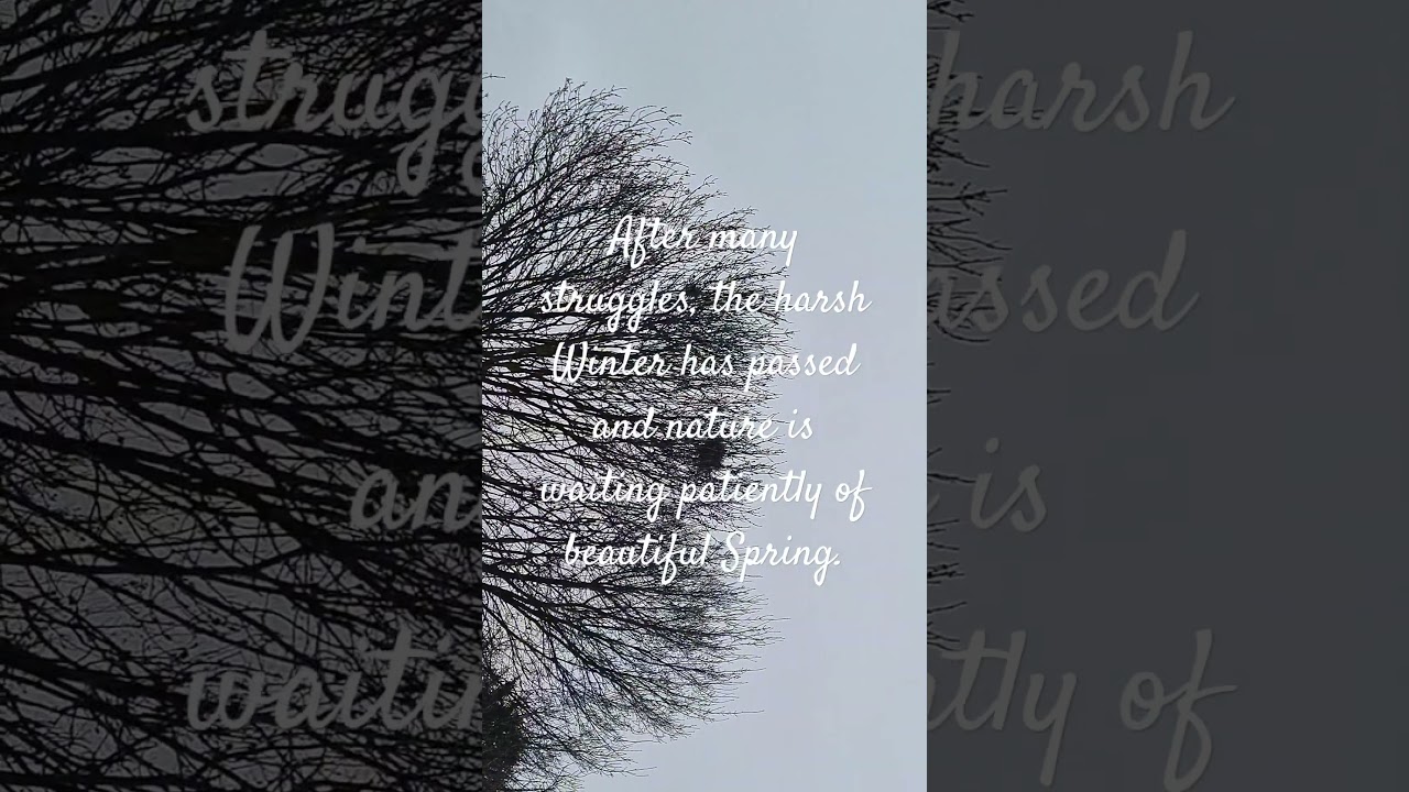 Learning Lessons from Our Generous Mother Nature